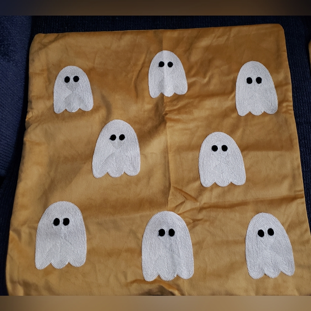 Halloween Themed Pillow Covers